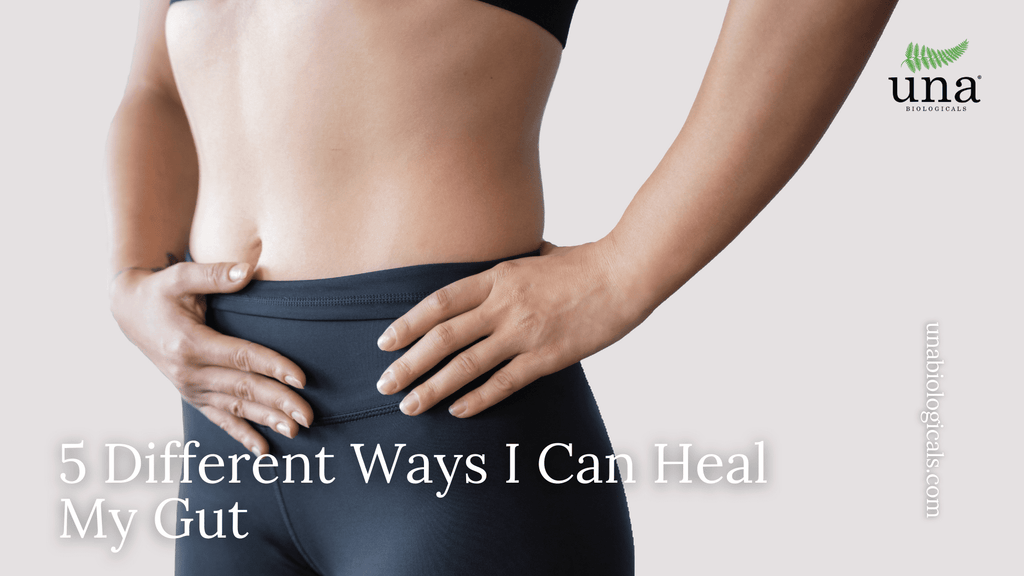 5 Different Ways I Can Heal My Gut