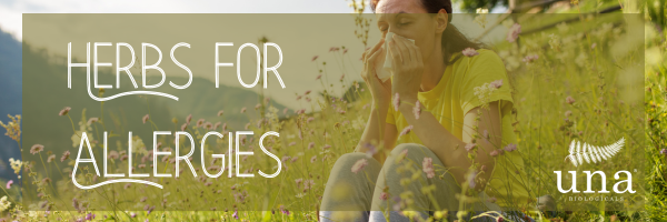 Herbs for Seasonal Allergies