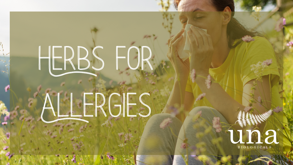 Herbs for Seasonal Allergies