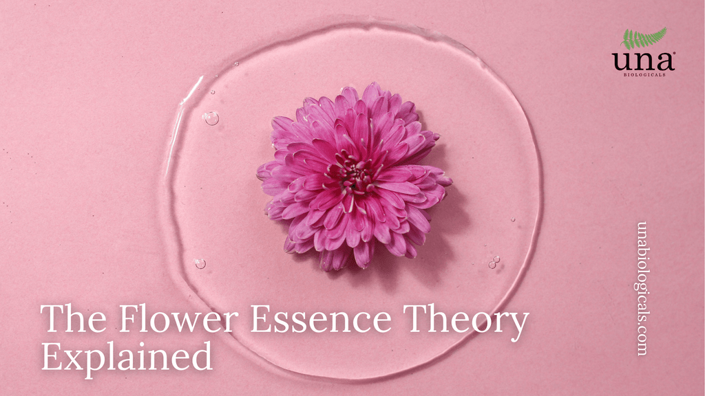 The Flower Essence Theory Explained