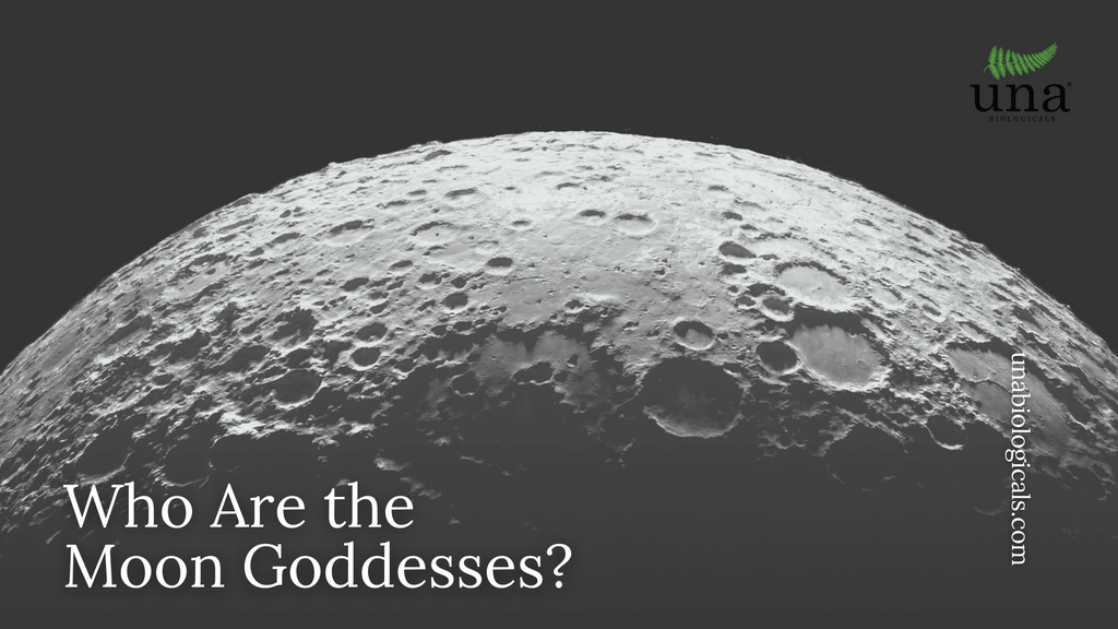Who Are the Moon Goddesses?